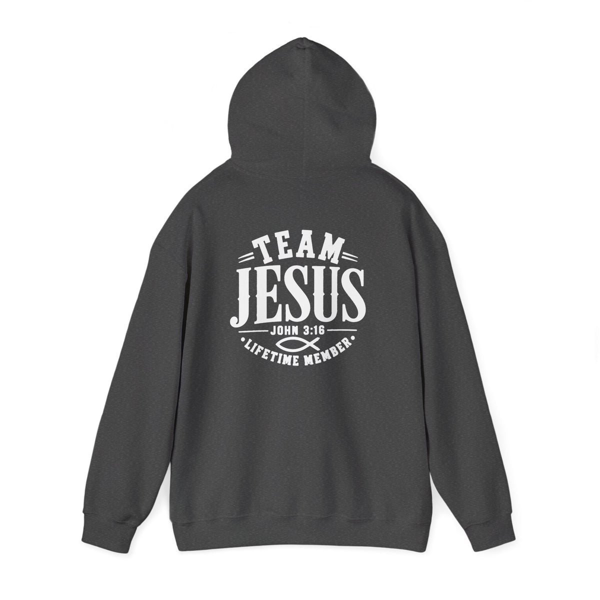 Team Jesus  Hoodie